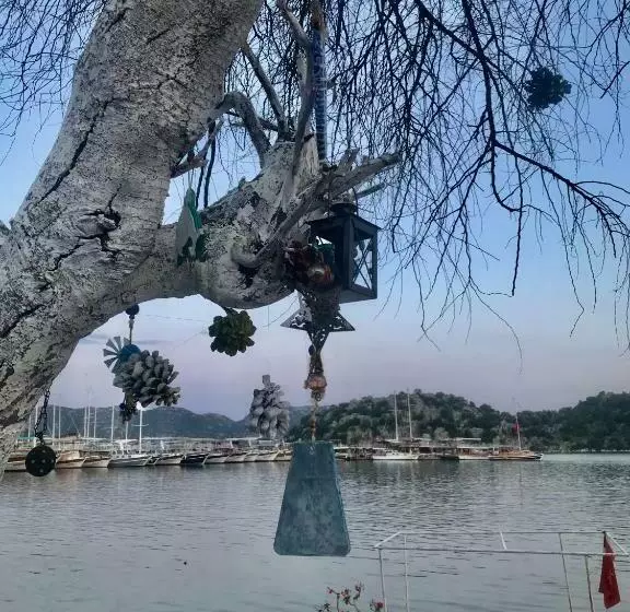 Kekova Pansiyon