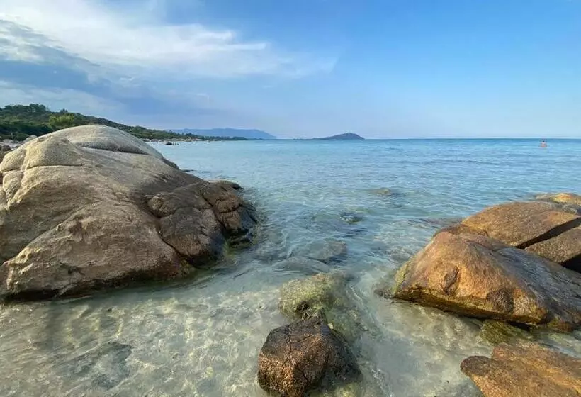 ベッドアンドブレックファースト Al Vicoletto   Genuine Hospitality