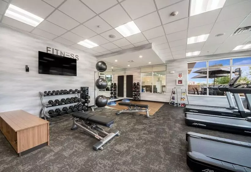 Hotelli Fairfield Inn & Suites By Marriott Dallas Plano/frisco