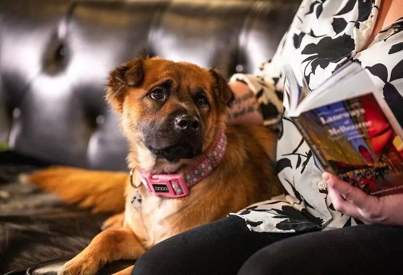 Ink Hotel Melbourne Southbank