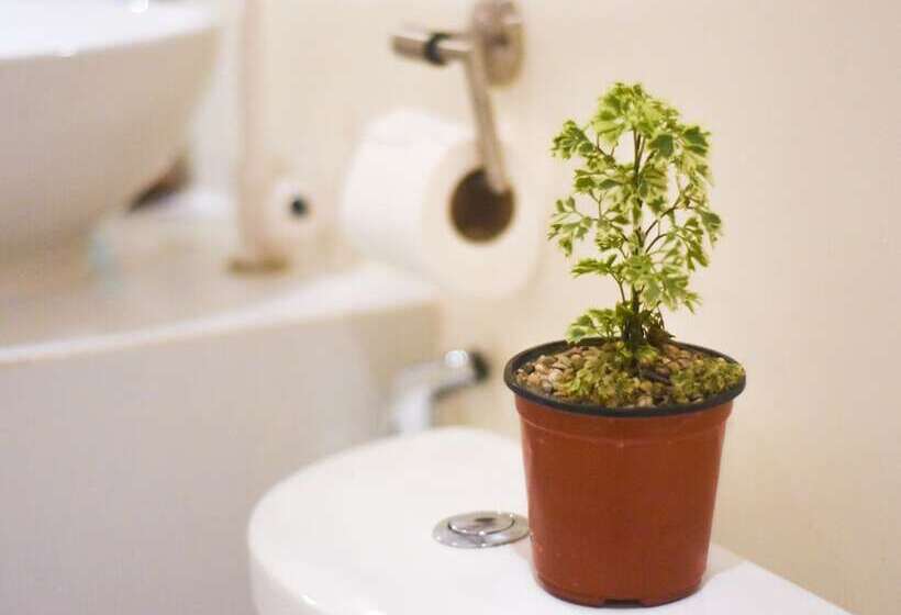 פנסיון Keira Tourist Inn