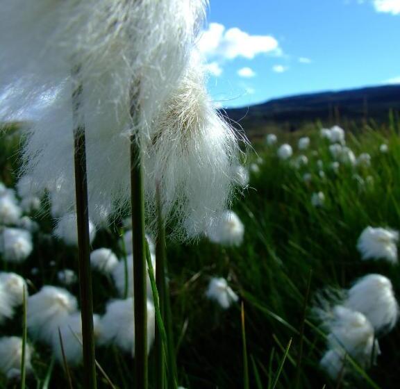 پانسیون Solvanes Farmholidays