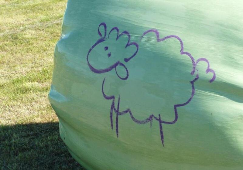 پانسیون Solvanes Farmholidays