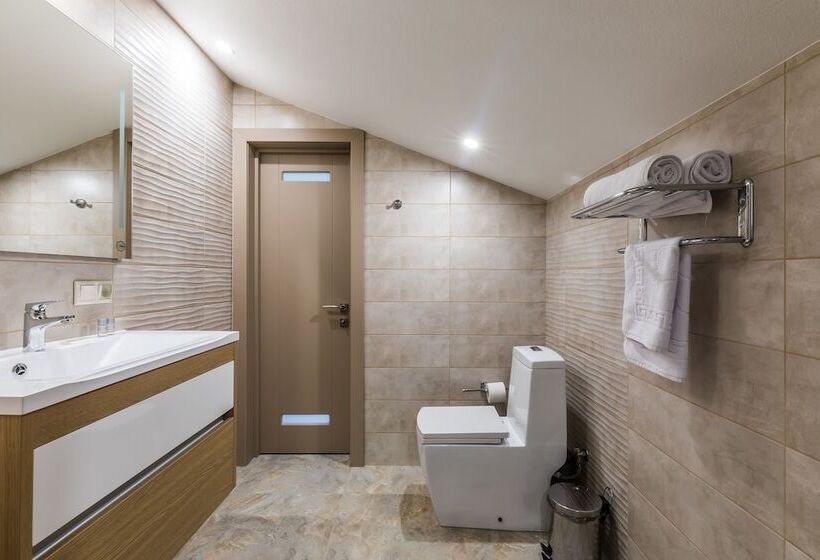 פנסיון Sowa House