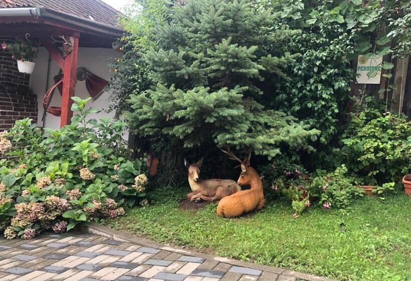 Pensiunea Flori Sibiel