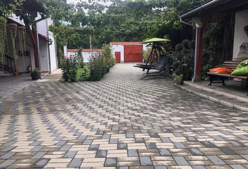 Pensiunea Flori Sibiel