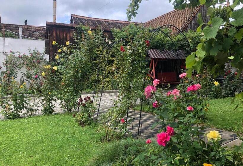 Pensiunea Flori Sibiel