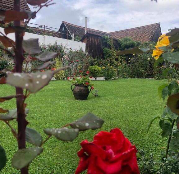 Pensiunea Flori Sibiel