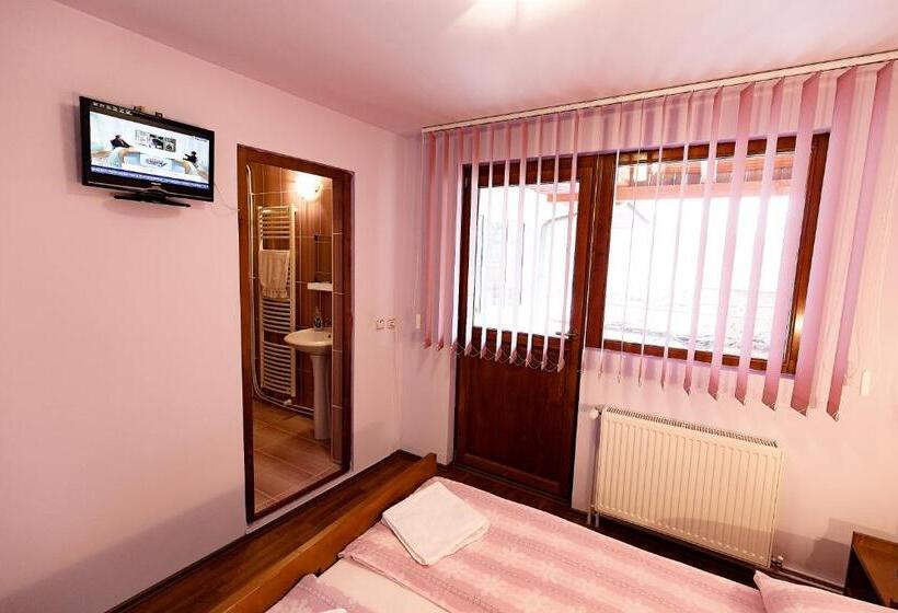 Pensiunea Flori Sibiel