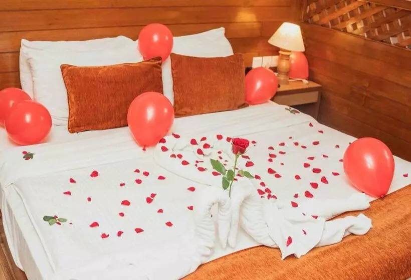 استراحتگاه Mount View Pokhara