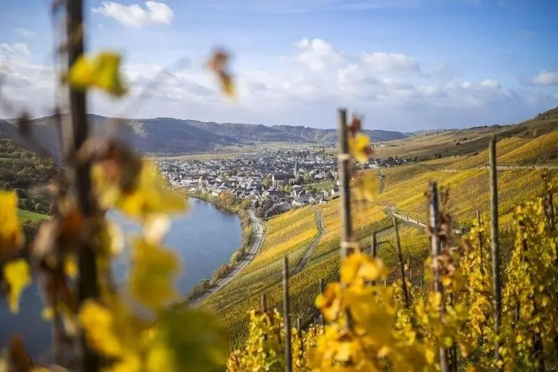 Rieslingquartier   Mosel Wein