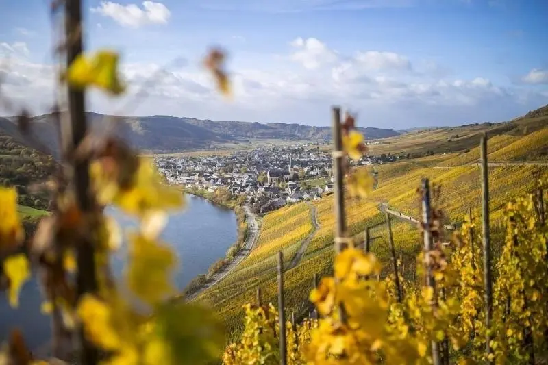 Rieslingquartier   Mosel Wein
