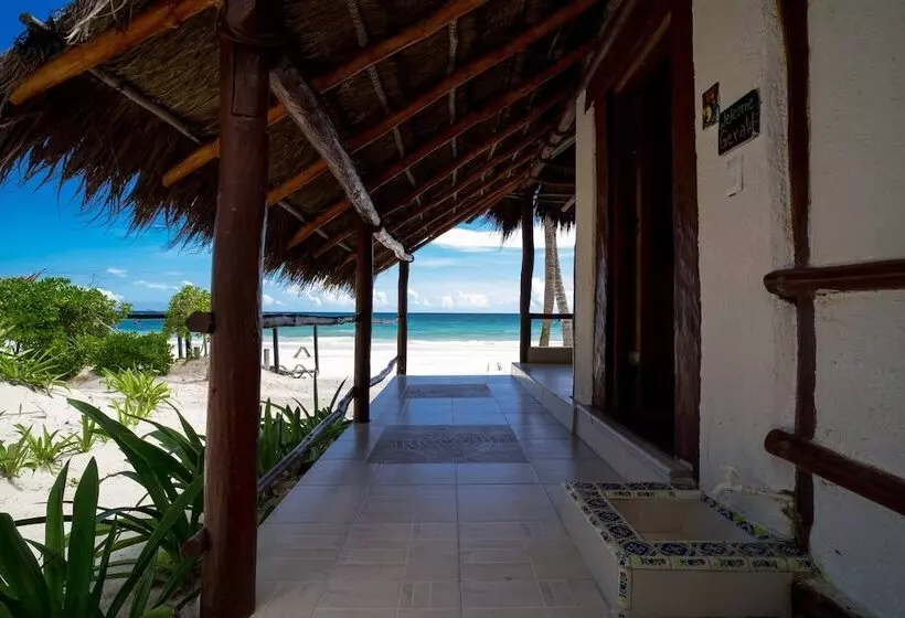 Hotelli Bt Live Tulum Located At The Party Zone
