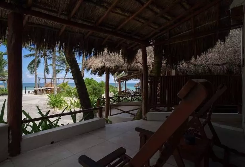 Hotelli Bt Live Tulum Located At The Party Zone