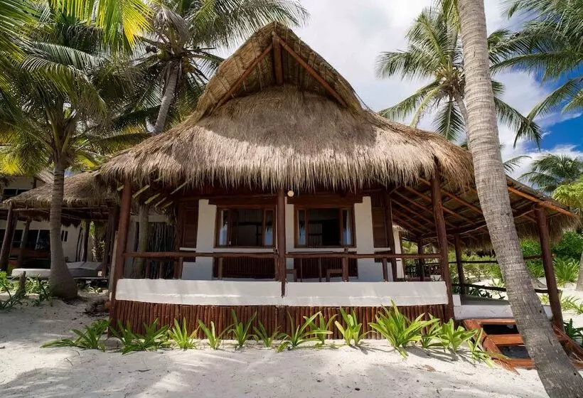 Hotelli Bt Live Tulum Located At The Party Zone