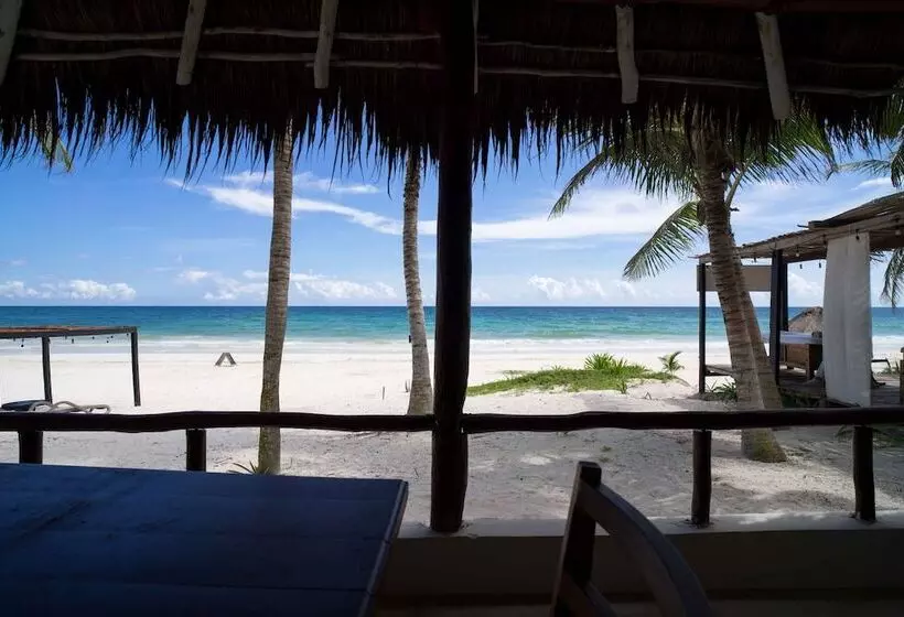 Hotelli Bt Live Tulum Located At The Party Zone