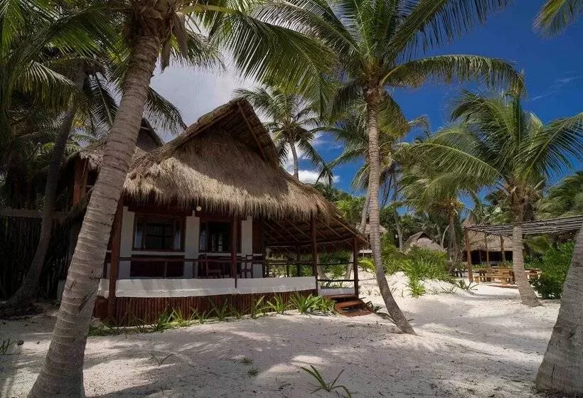 Hotelli Bt Live Tulum Located At The Party Zone