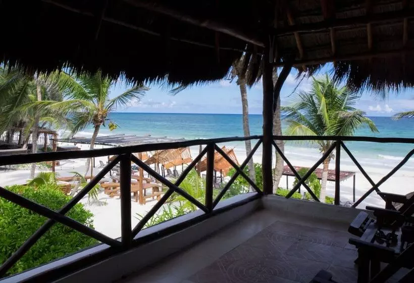 Hotelli Bt Live Tulum Located At The Party Zone