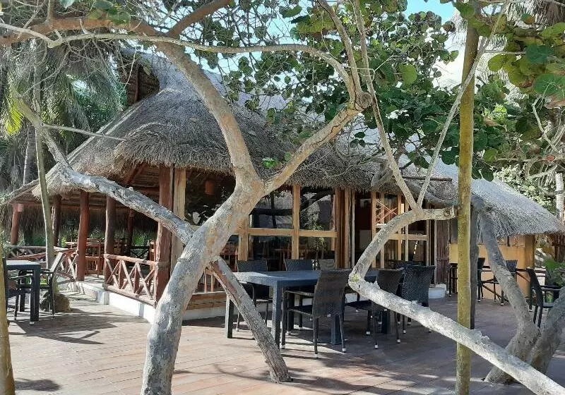 Hotelli Bt Live Tulum Located At The Party Zone