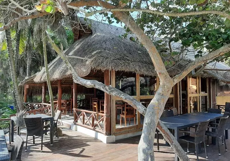 Hotelli Bt Live Tulum Located At The Party Zone