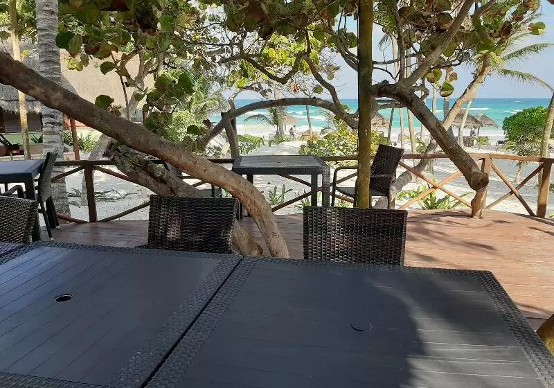 Hotelli Bt Live Tulum Located At The Party Zone