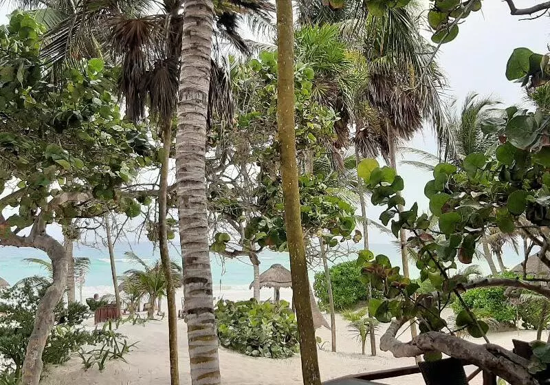 Hotelli Bt Live Tulum Located At The Party Zone