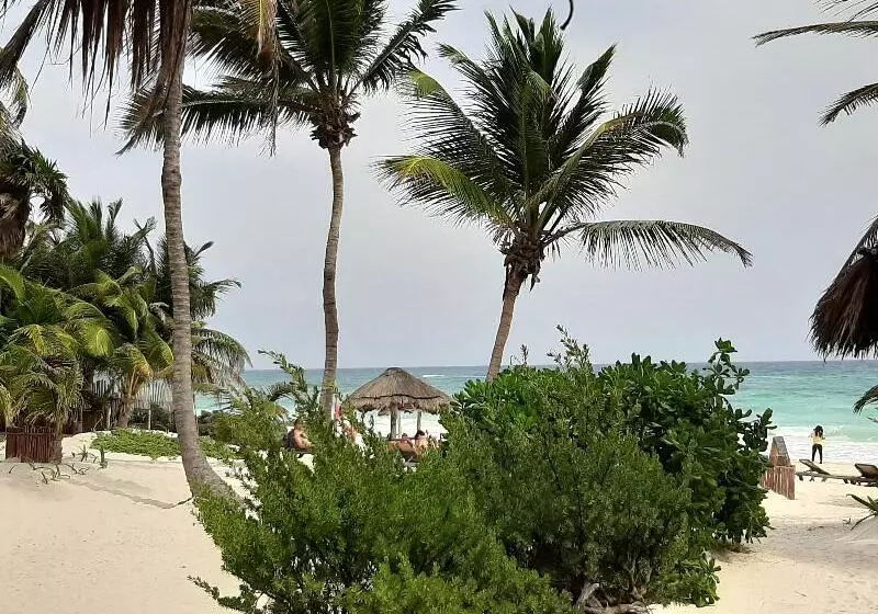 Hotelli Bt Live Tulum Located At The Party Zone