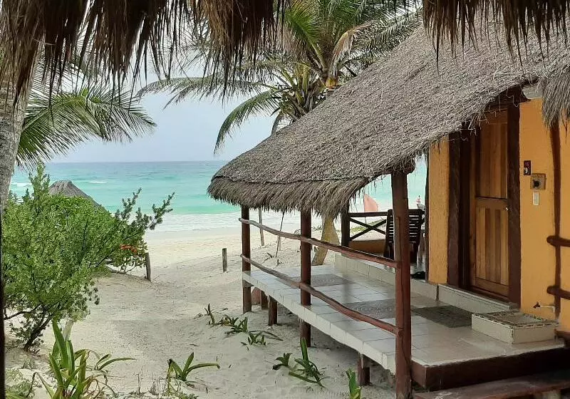 Hotelli Bt Live Tulum Located At The Party Zone