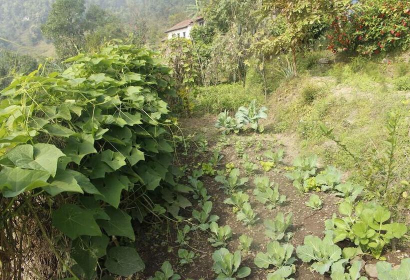 هتل Siddhartha Garden Ayurveda