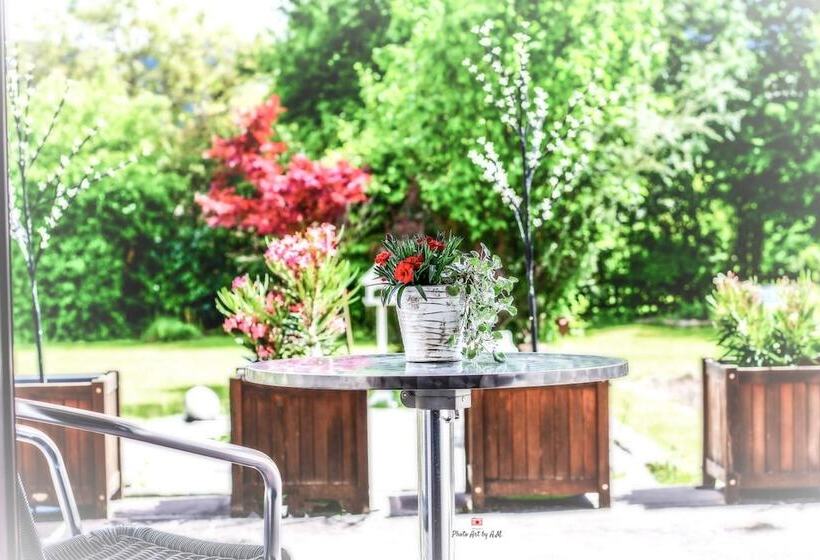 Pensionat Art Rooms Gästezimer