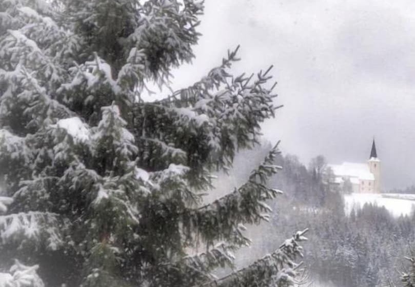 Pensionat Art Rooms Gästezimer