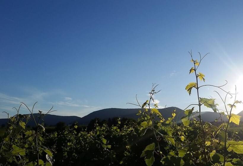 פנסיון Gästehaus Bourdy