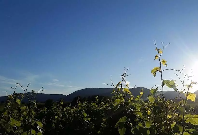 Majatalo Gästehaus Bourdy