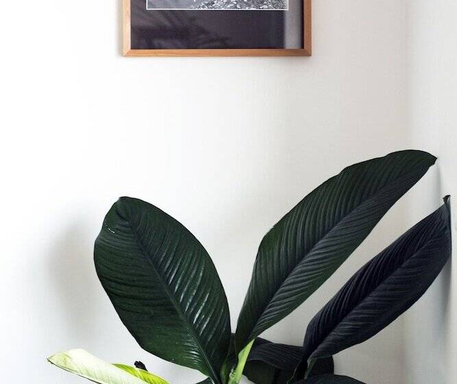 Pensão Monte Da Guia