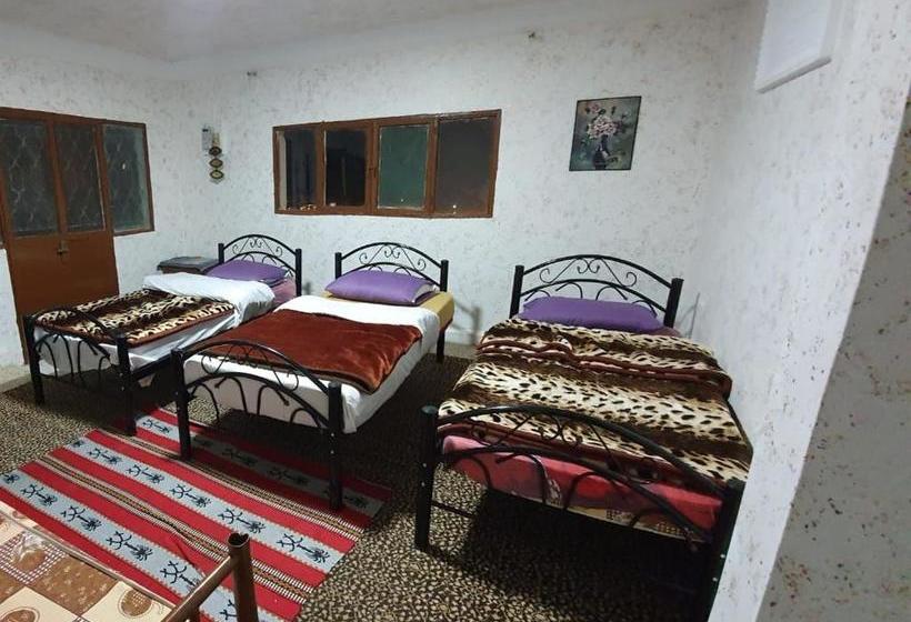 Petra Holiday Hostel