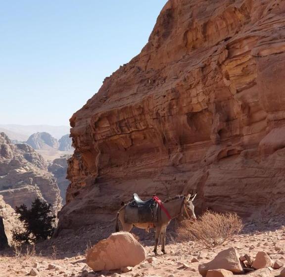 Petra Holiday Hostel