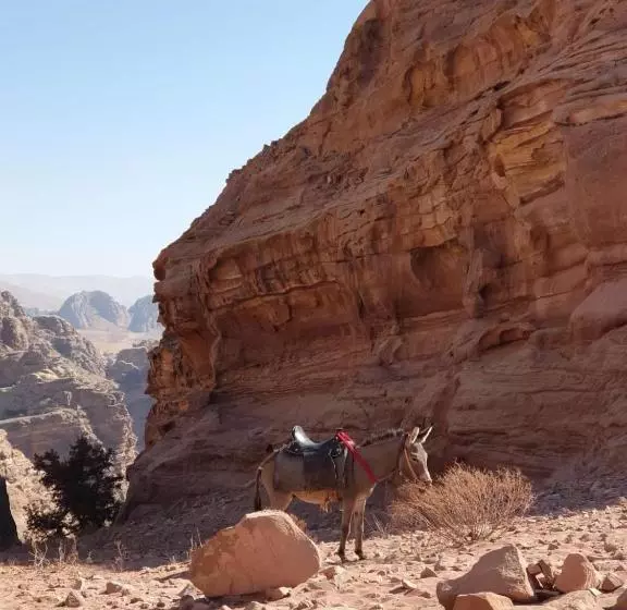 Petra Holiday Hostel