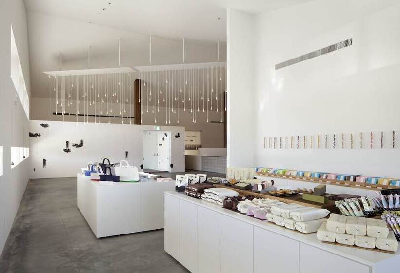 ريوكان Aqua X Ignis