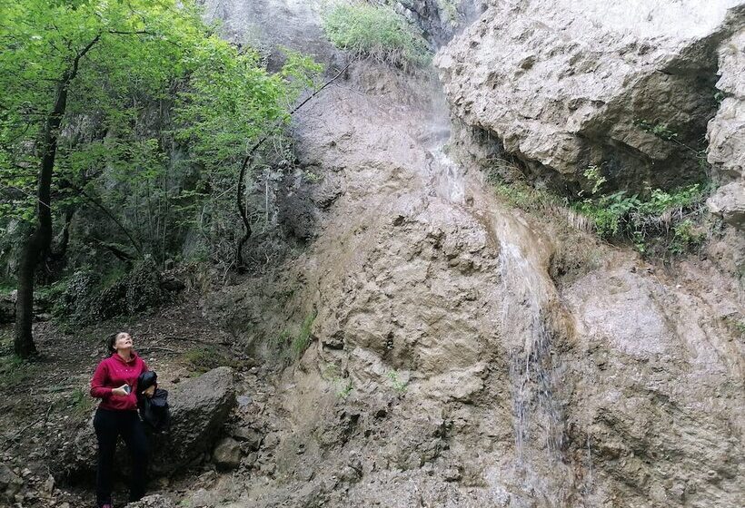 Apartments Villa Marid