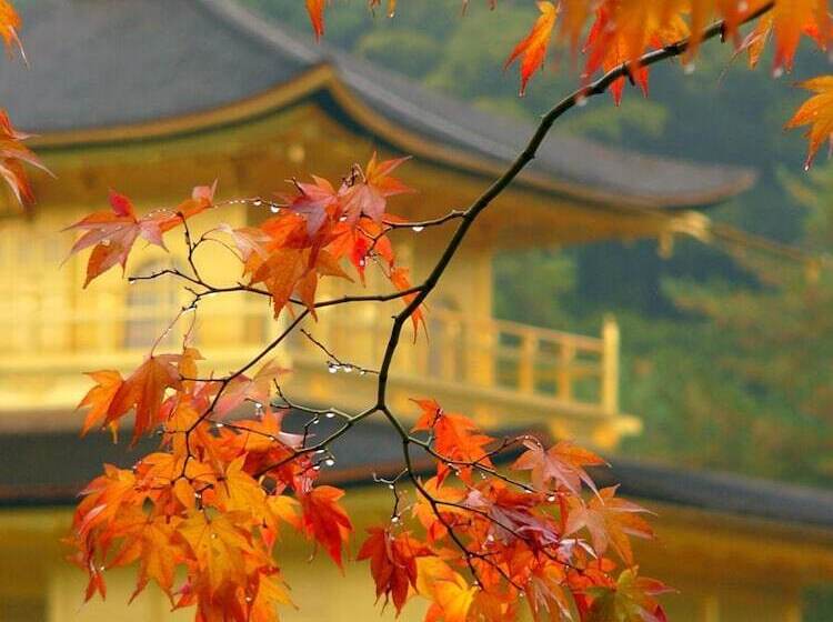 Ben S Guesthouse Kyoto