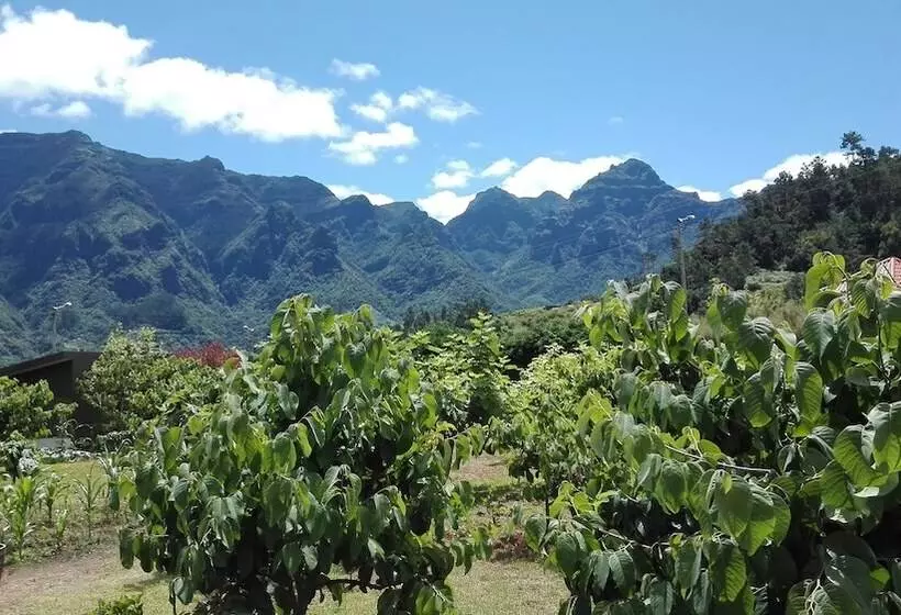 Grannys Farm
