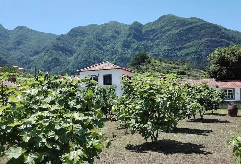 Grannys Farm