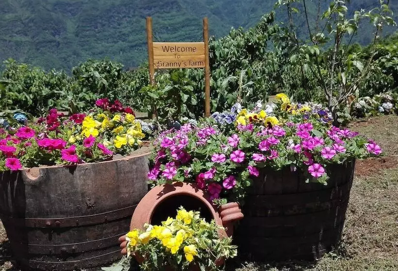 Grannys Farm
