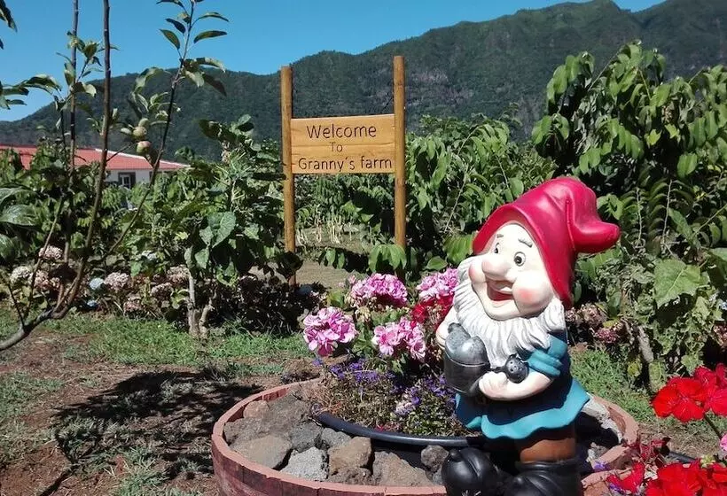 Grannys Farm