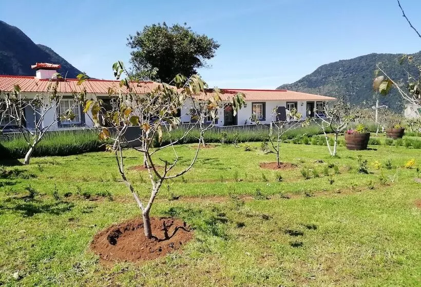 Grannys Farm