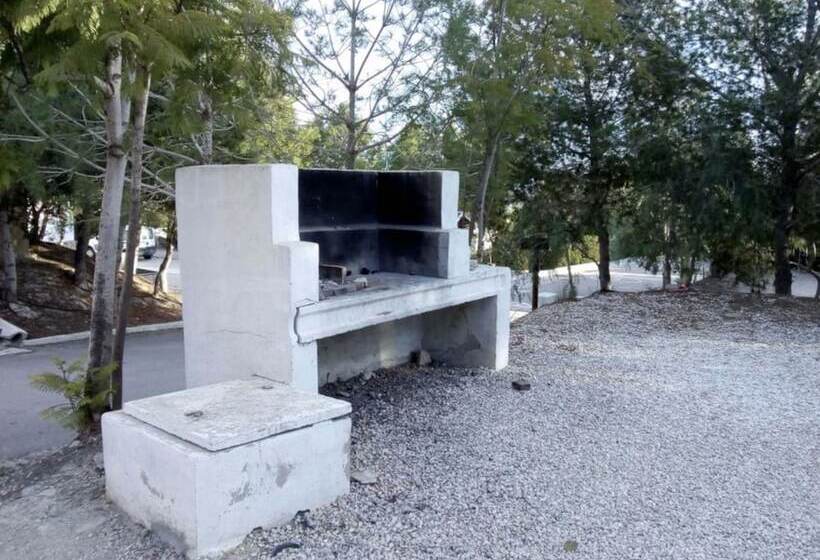 בית מלון כפרי Camping La Pedrera