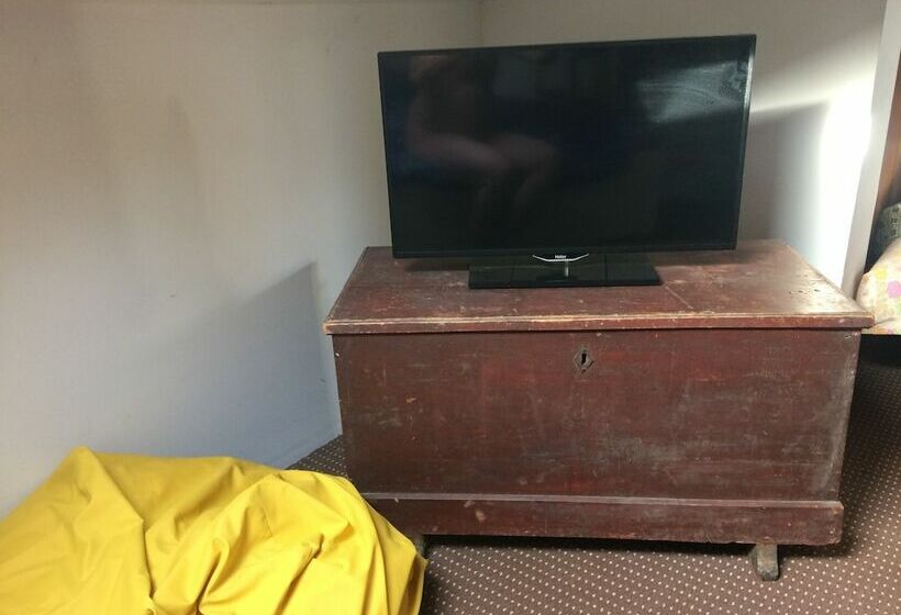 بنسيون La Maison Des Chiens