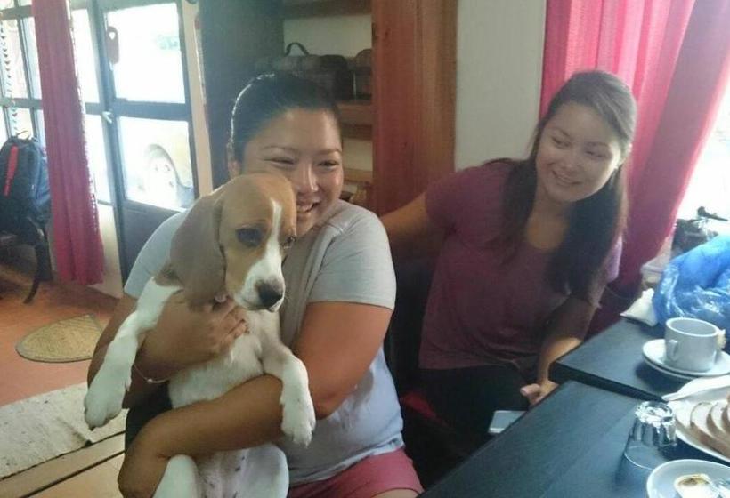 פנסיון Las Cabañitas