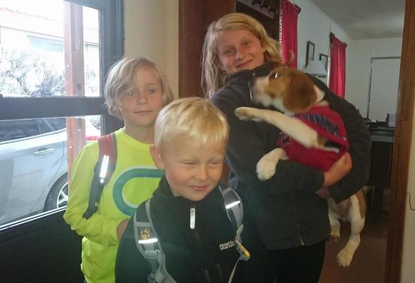 פנסיון Las Cabañitas