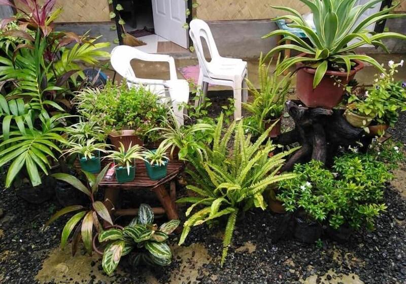 בית מלון כפרי Garden View Inn